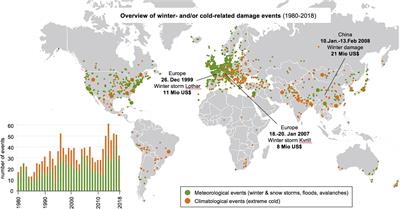 Modes of Brassinosteroid Activity in Cold Stress Tolerance